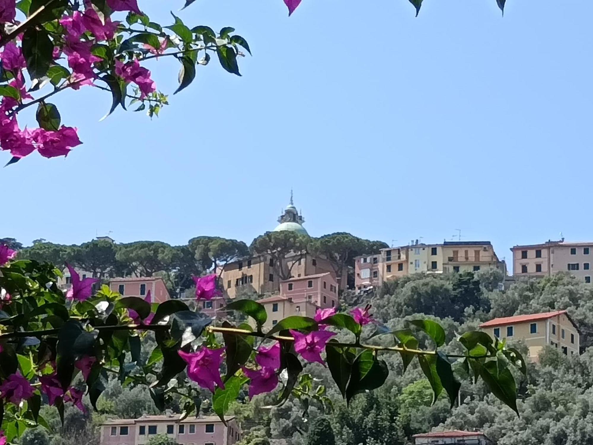 Villa Albachiara Camogli Exterior photo