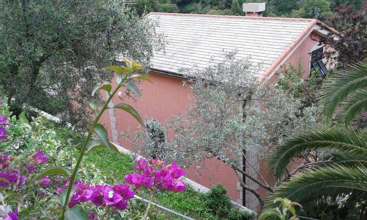 Villa Albachiara Camogli Exterior photo